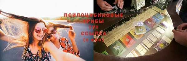 стафф Баксан
