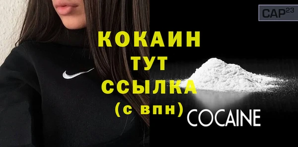 гашик Покровск