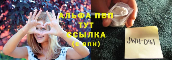 шишки Балахна